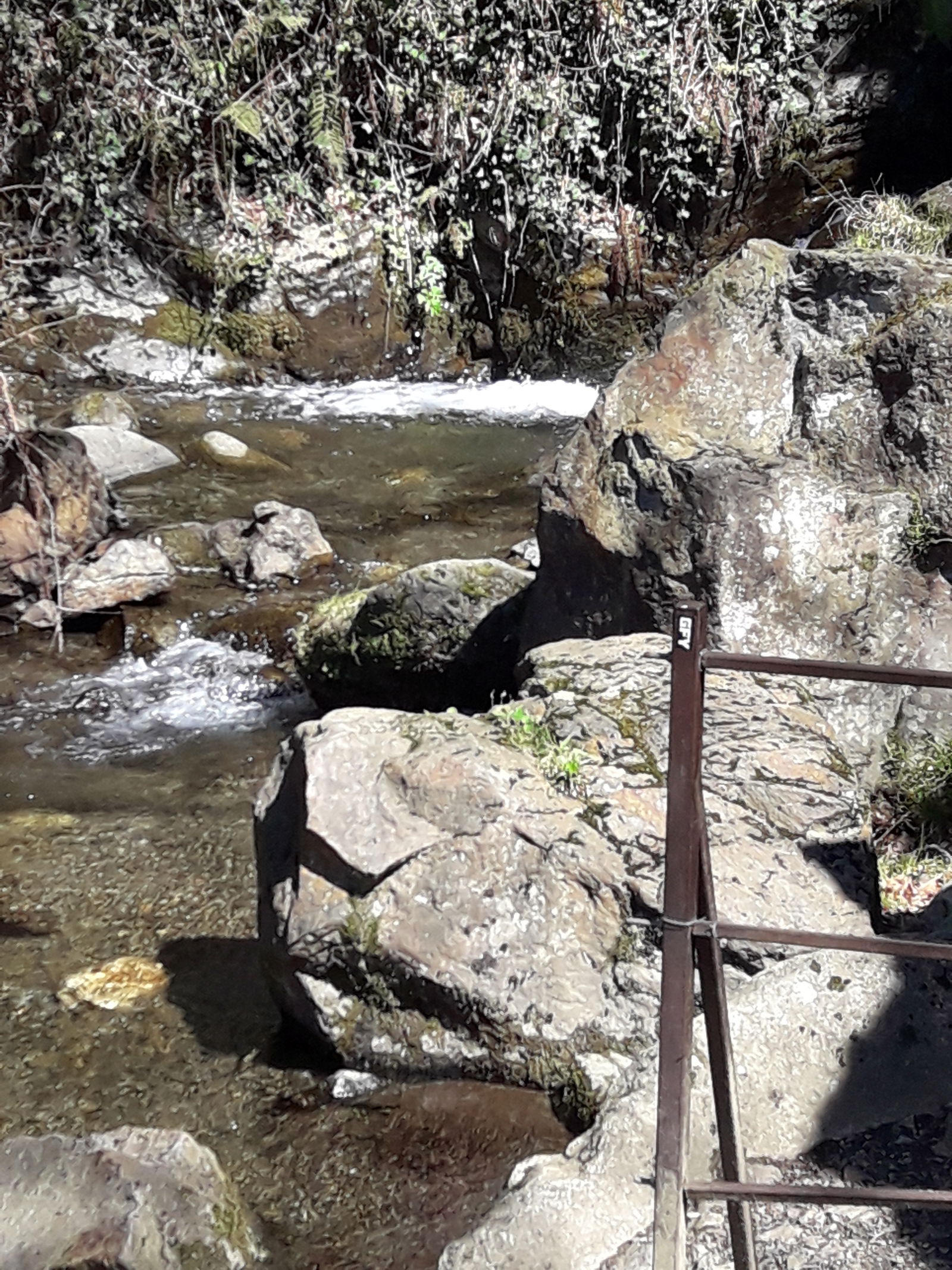 Tutta La Casa Bagnères-de-Luchon 198854