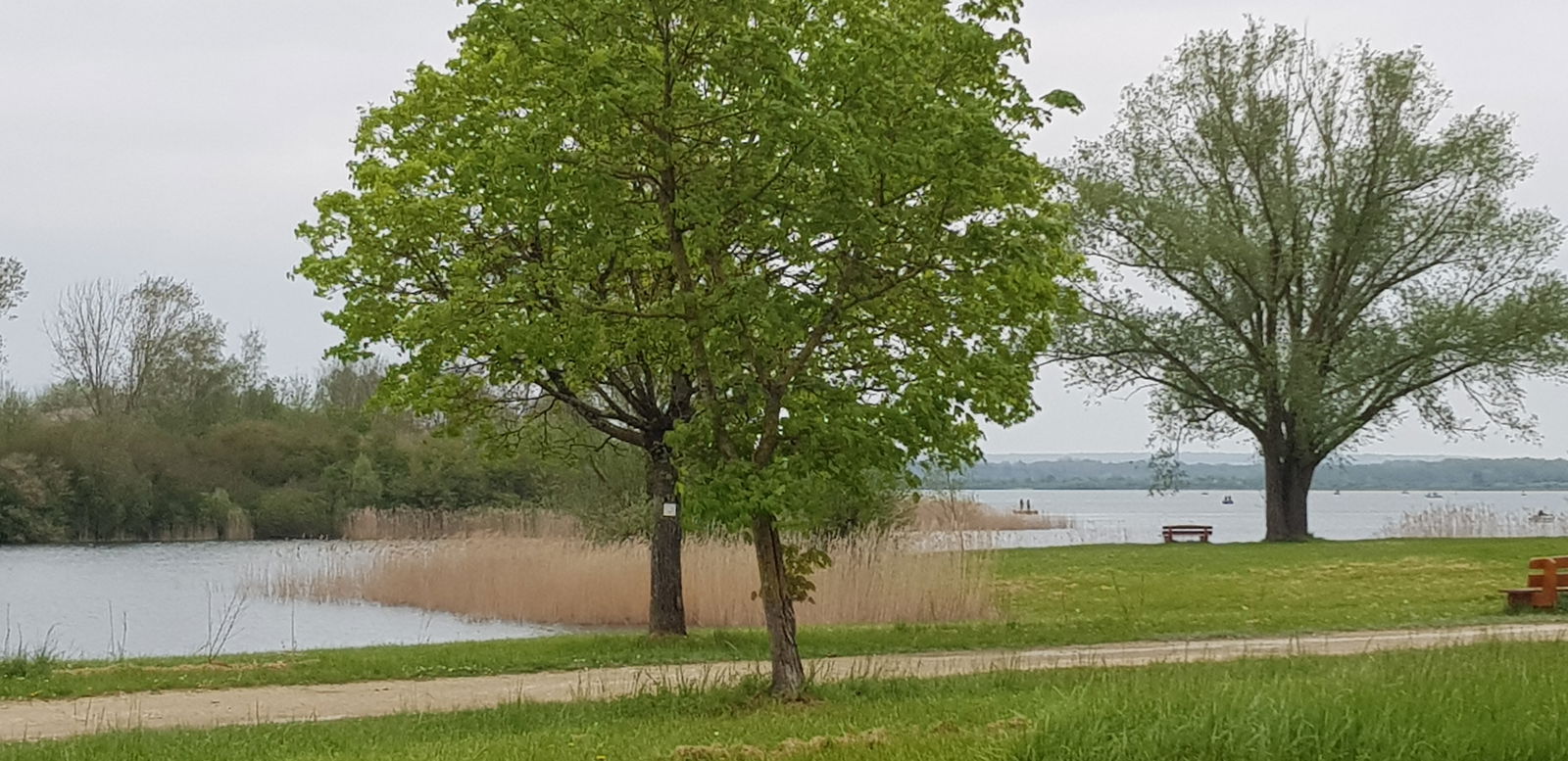 Estudio Independiente Thillot 471108