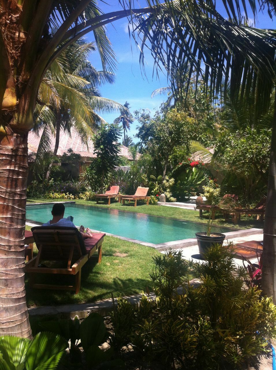 Camere Per Gli Ospiti Nusa Tenggara Barat 197110