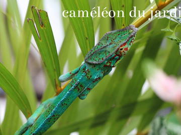 Logement Entier Undefined 224240-19