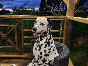 Logement Entier Undefined 224240-21