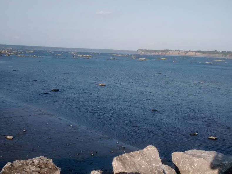 Cały Dom Deschambault 102344-2