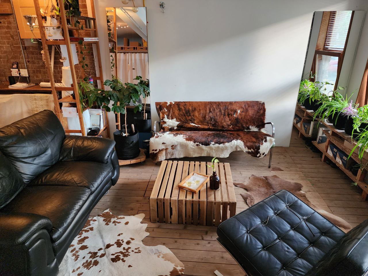 Tutta La Casa Montréal 426047