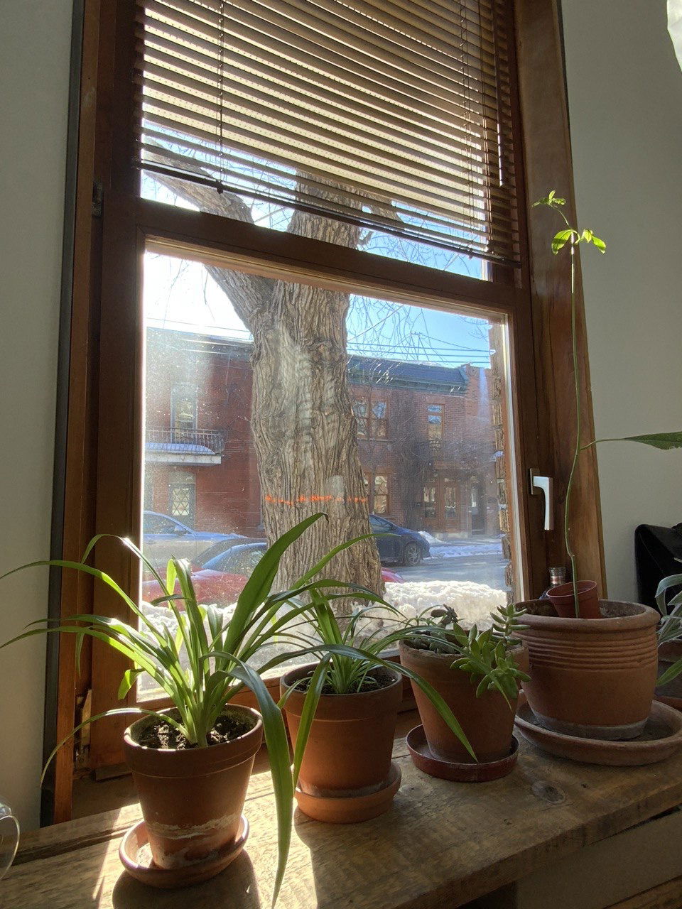 Tutta La Casa Montréal 426047