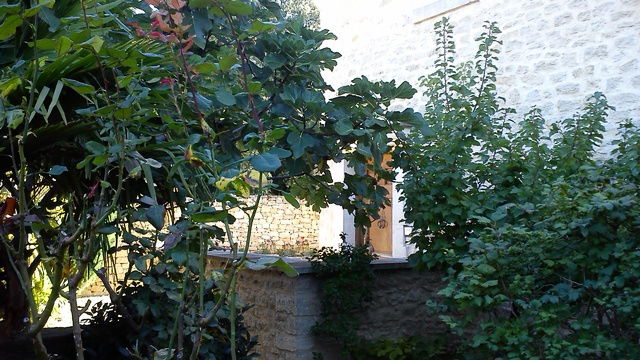 Bed And Breakfast Le Barroux 58205