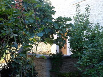 Chambre D'hôte Le Barroux 58205-11