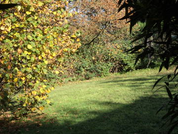 Logement Entier Ittre 55552-7