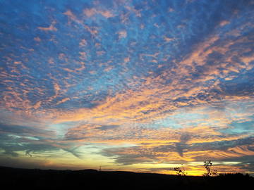 Logement Entier Ittre 55552-9