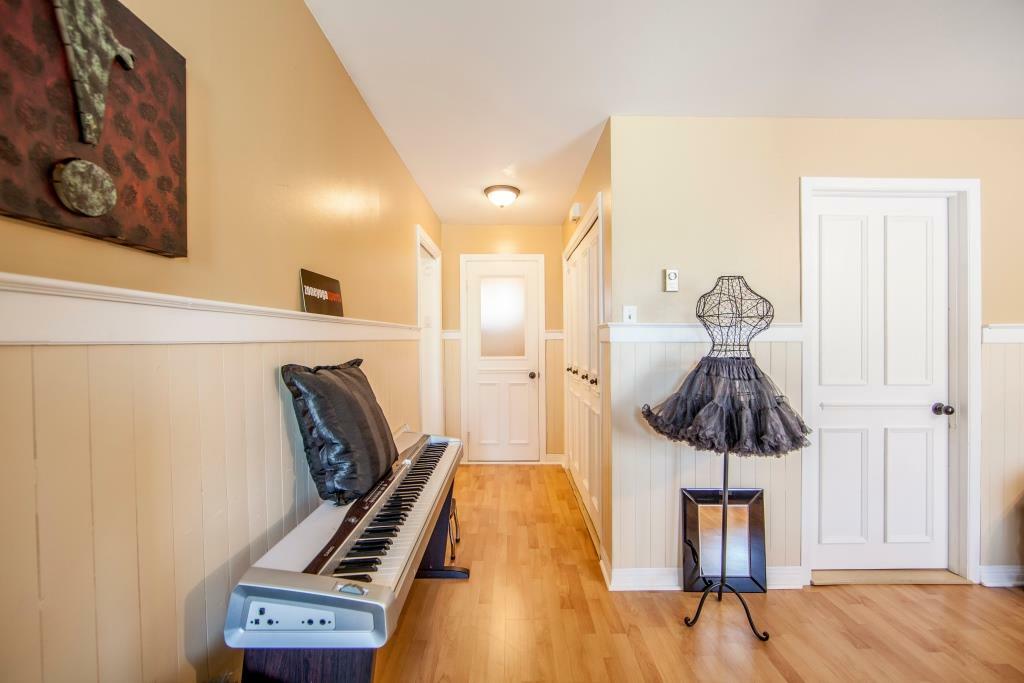 Kolokasie Saint-Jérôme 73449