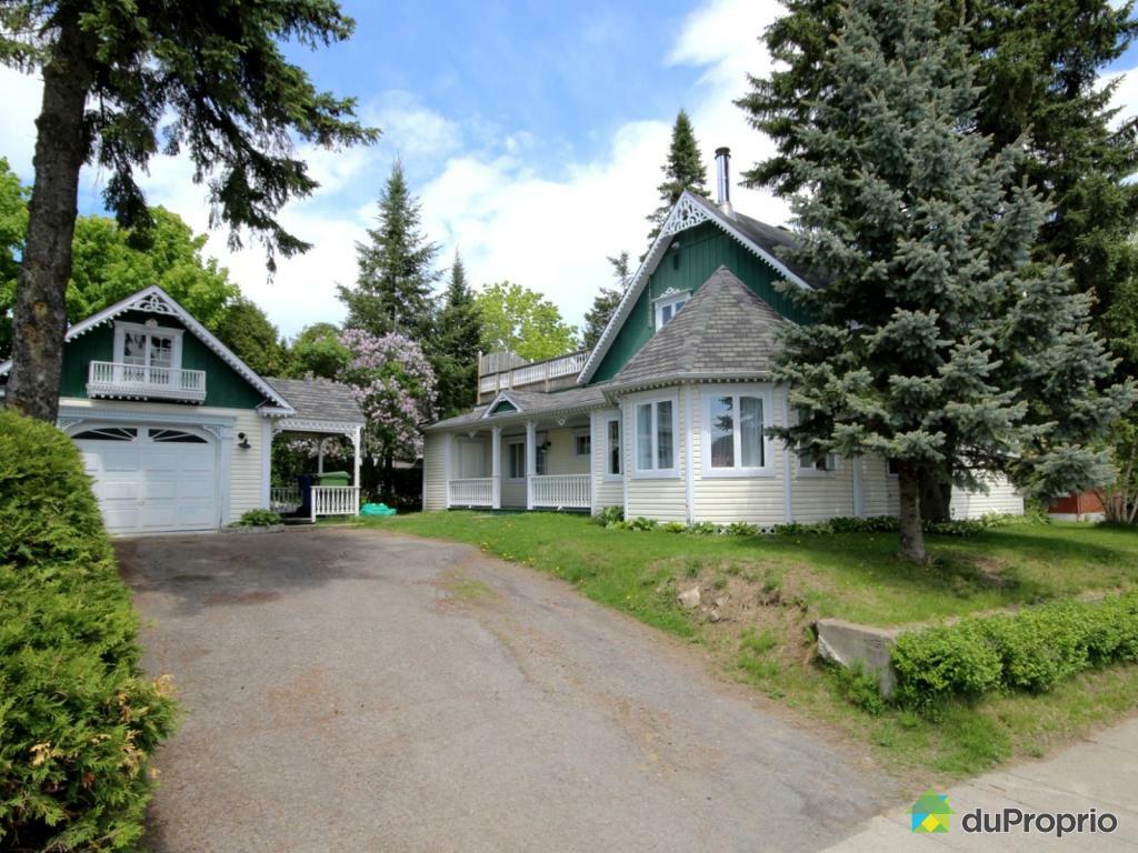 Kolokasie Saint-Jérôme 73449