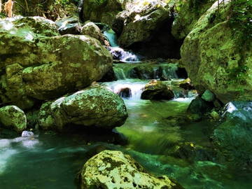 Logement Entier Provincia Di Cosenza 267203-4