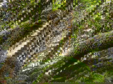 Logement Entier Provincia Di Cosenza 267203-5