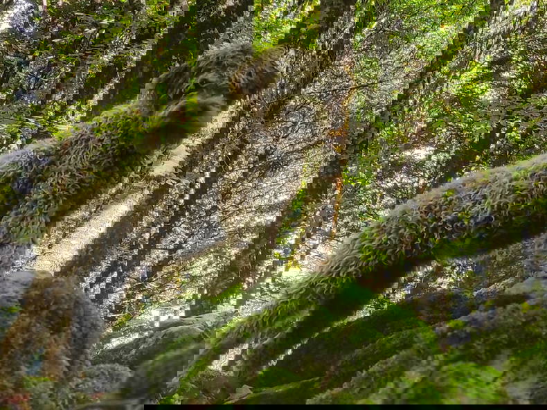 Entire Home Provincia di Cosenza 267203-5