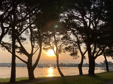 Chambre Chez L'habitant Larmor-Plage 662615-1