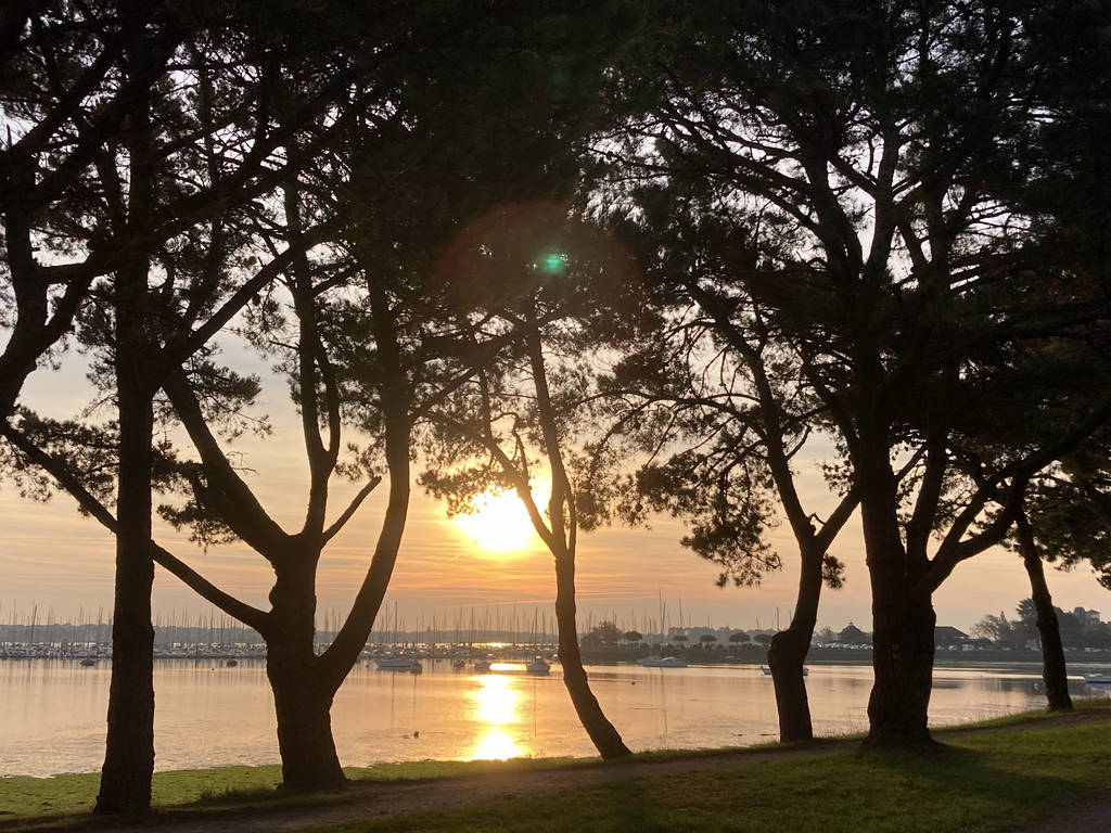 Chambre Chez L'habitant Larmor-Plage 662615-1