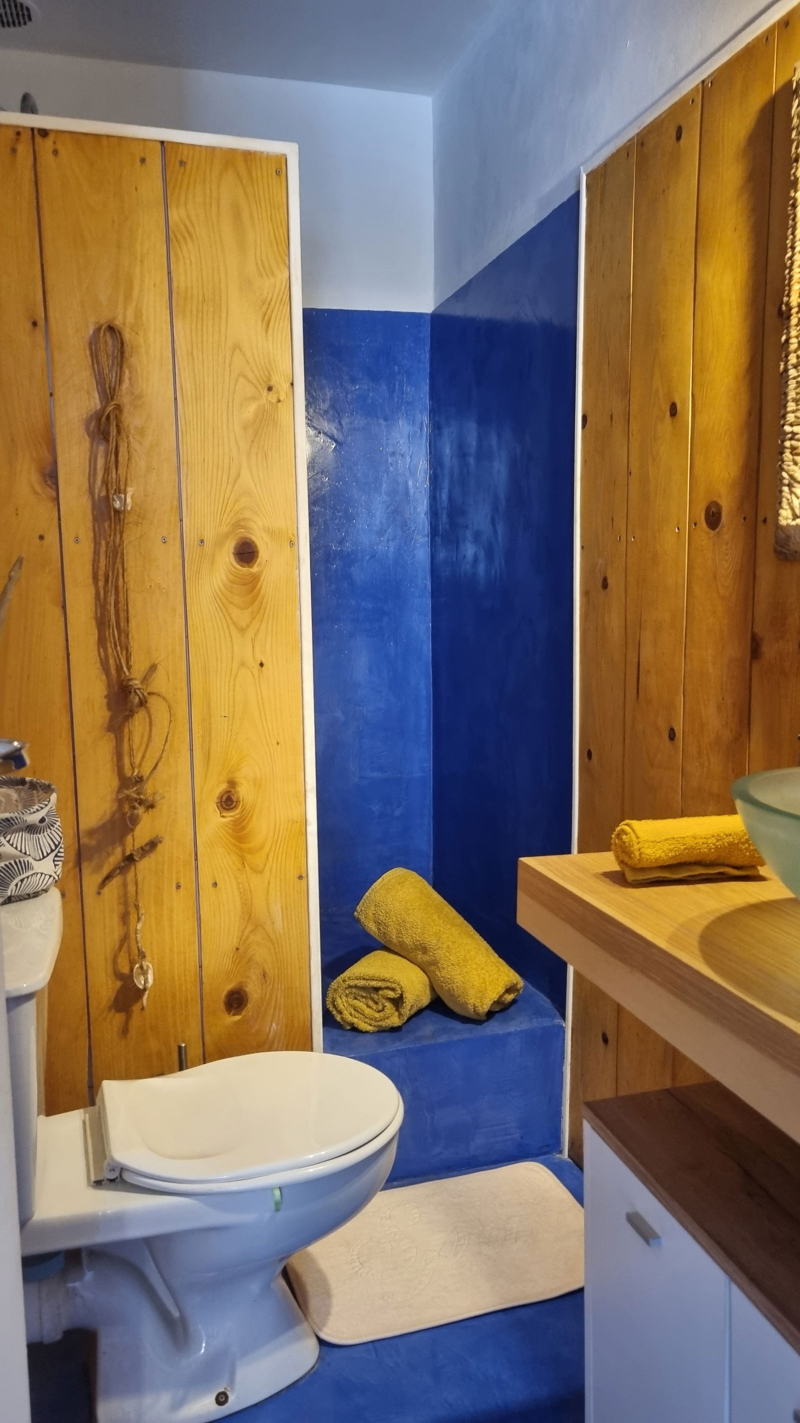 Logement Entier Pézenas 255053