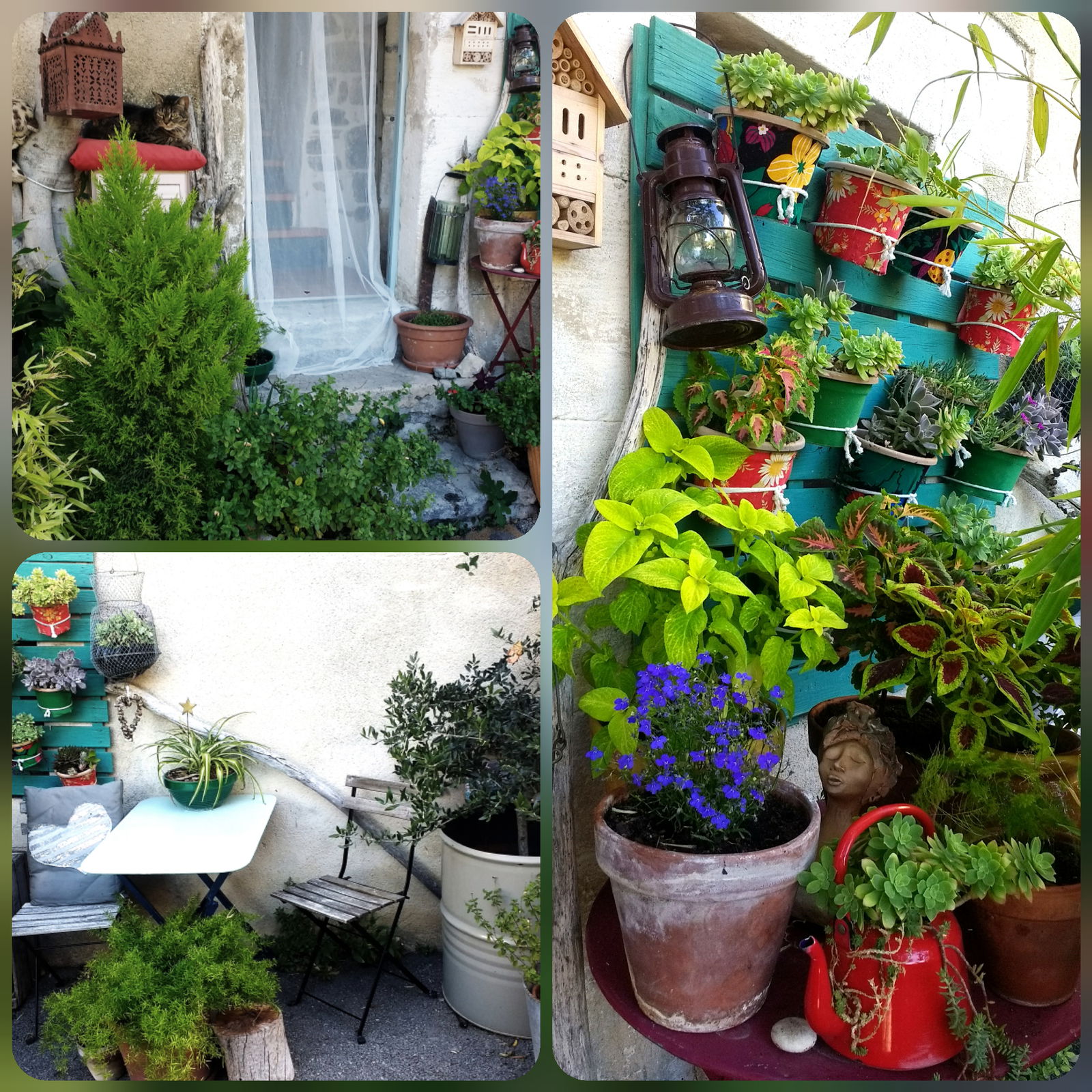 Colocación Rousset-les-Vignes 238486