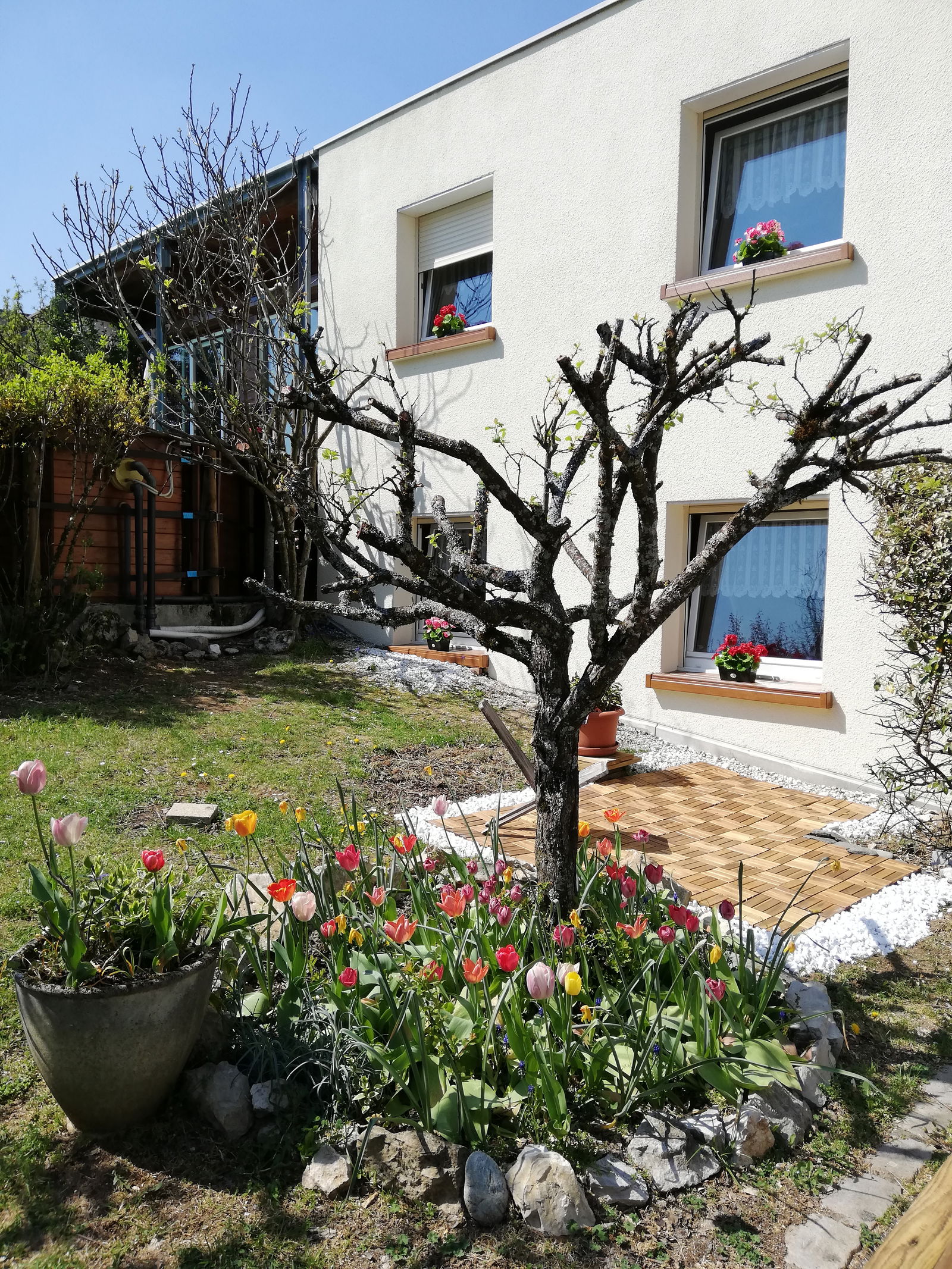 Onofhängeg Studio Montfaucon 69546