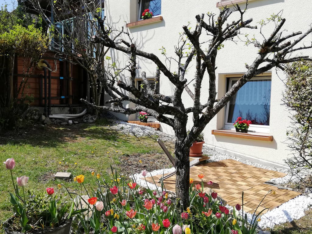 Logement Entier Montfaucon 69546-1