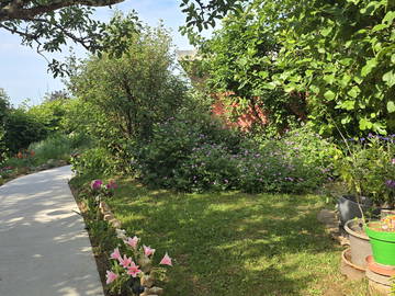 Logement entier à louer à Montfaucon - photo 16 : jardin-16