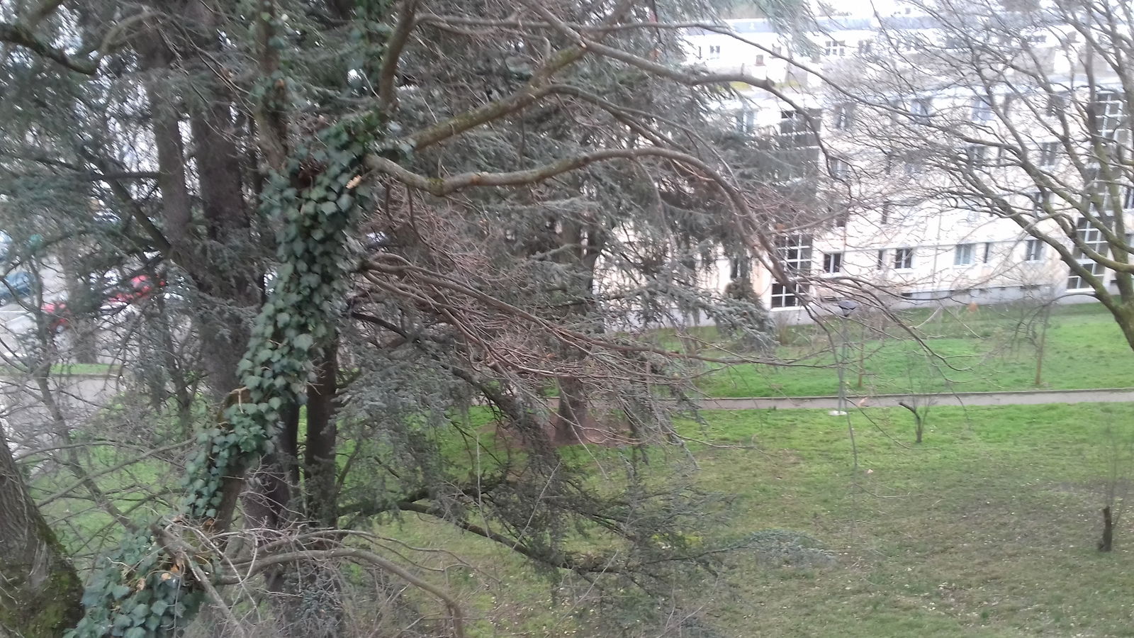 Logement Entier Lyon 244762