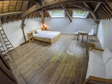 Colocation Charleroi 265766-8