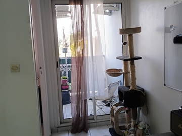 Logement entier à louer à Saint-Paul - photo 6-6