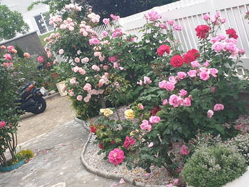 Gesamte Unterkunft zur Miete in Champigny-Sur-Marne - Foto 40 : Garten-40
