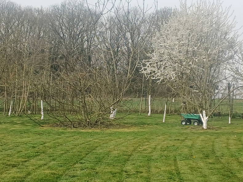 Homestay Quincy-Voisins 236756-3