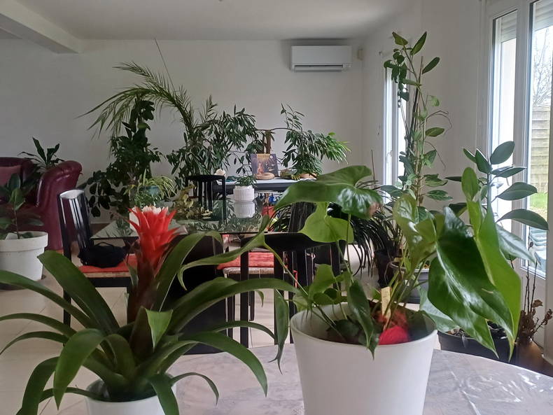 Homestay Quincy-Voisins 236756-4