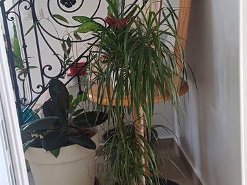 Chambre Chez L'habitant Quincy-Voisins 236756-23