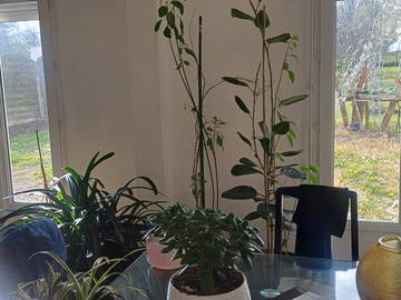 Chambre Chez L'habitant Quincy-Voisins 236756-25