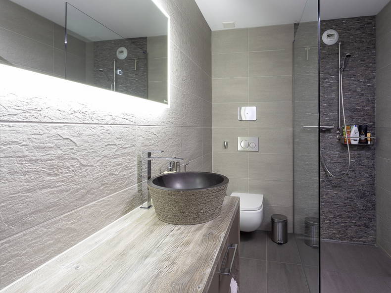 Logement Entier Yverdon-les-Bains 255619-5