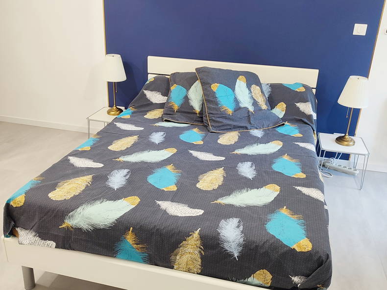 Entire Home Clermont-Ferrand 462494-4