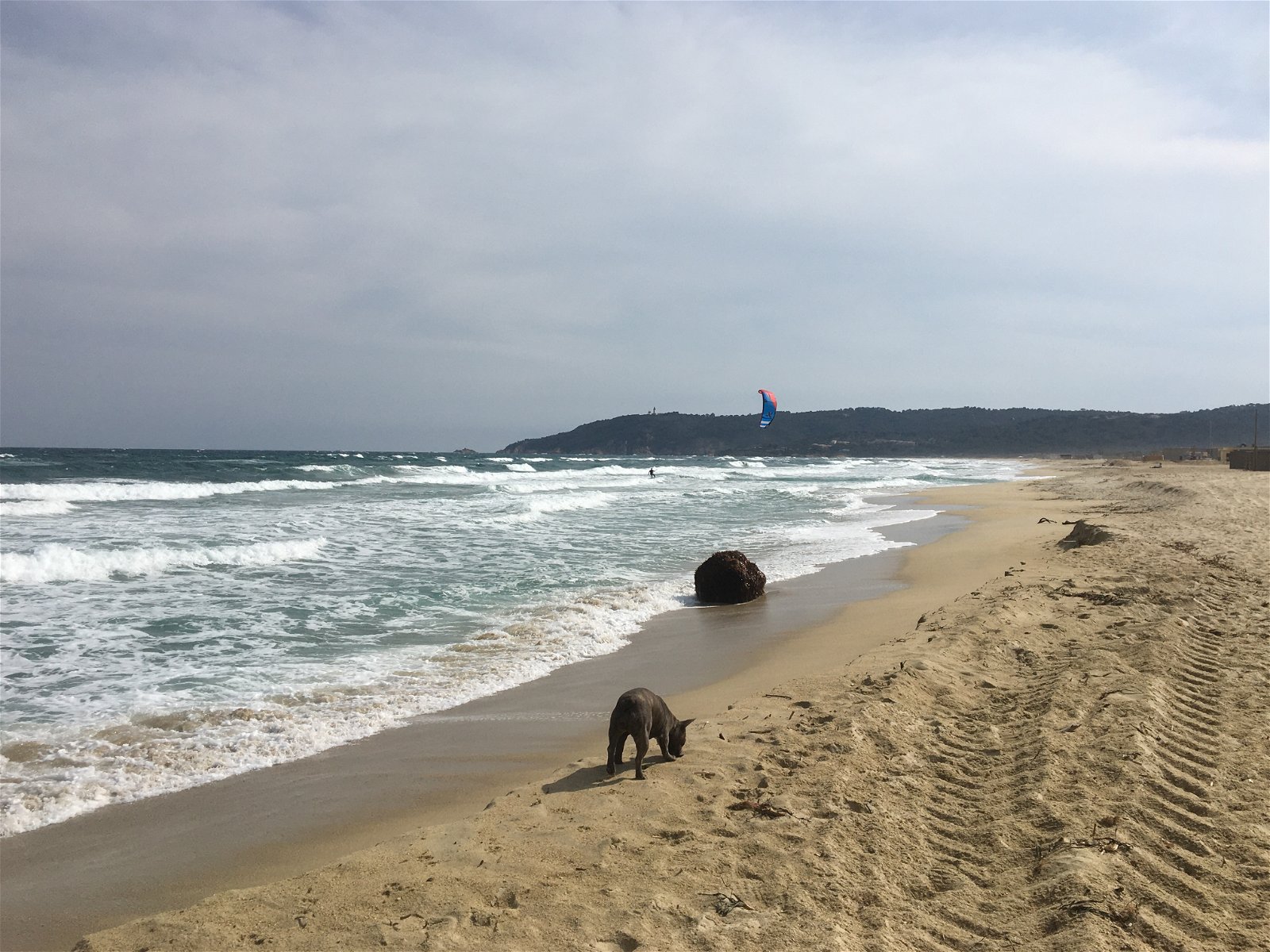 Onafhankelijke Studio Cannes 257463