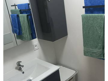 Chambre chez l'habitant à louer à Chilleurs-Aux-Bois - salle de bain-13