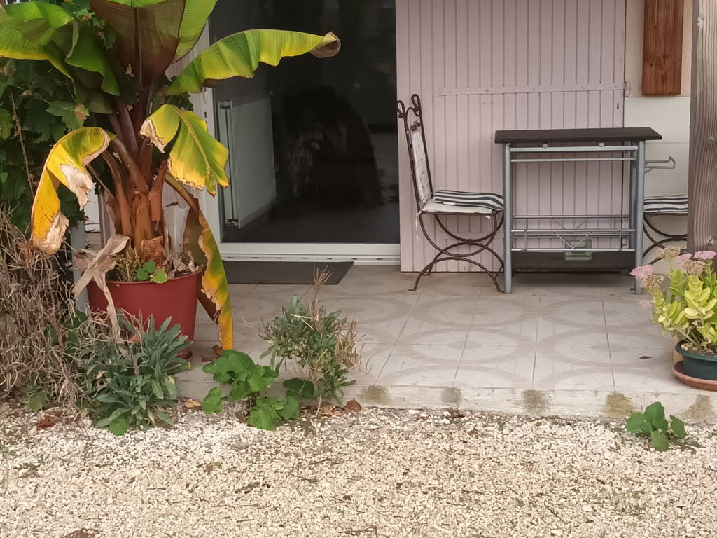 Homestay Saint-Avit-Saint-Nazaire 660673-1