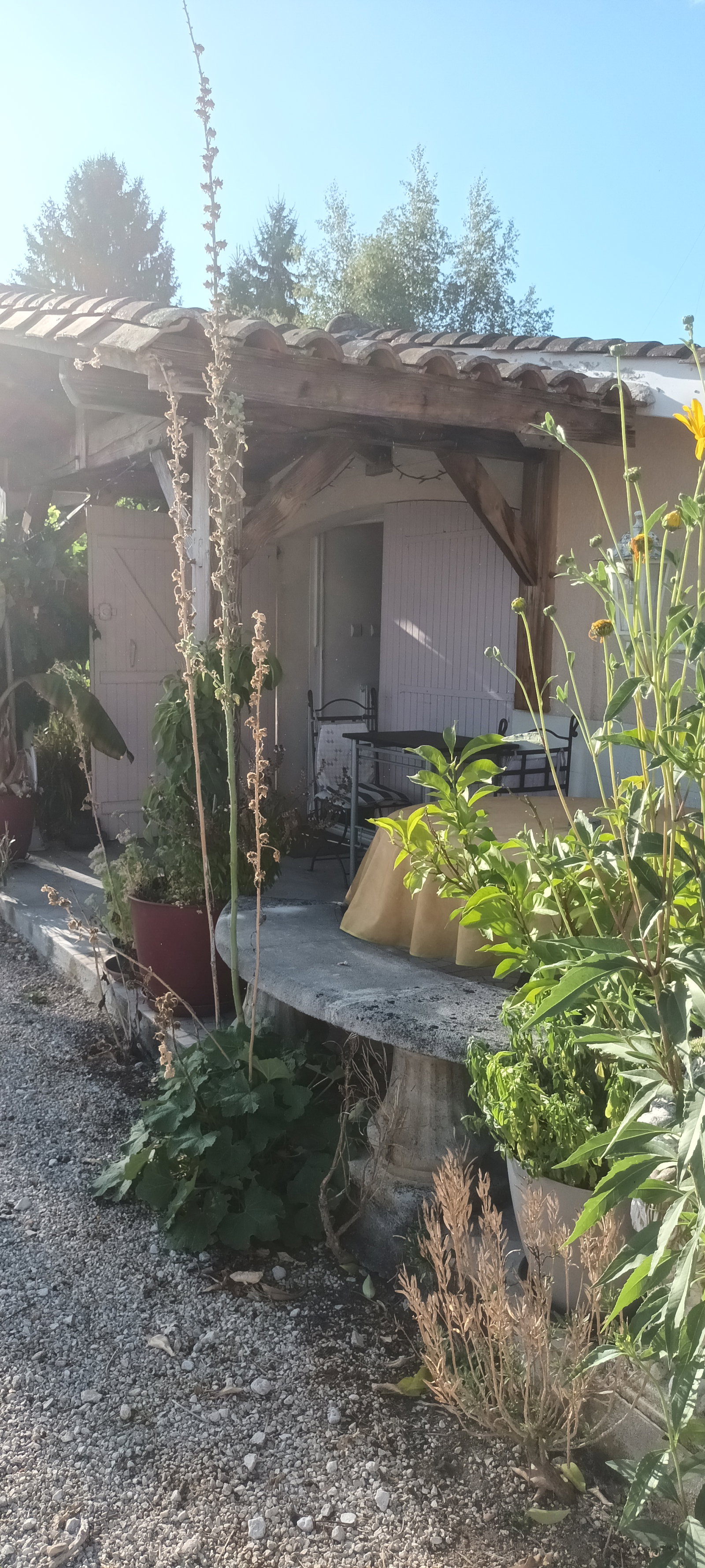 Chambre Chez L'habitant Saint-Avit-Saint-Nazaire 660673