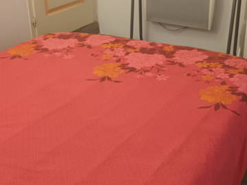 Chambre Chez L'habitant Saint-Avit-Saint-Nazaire 660673-14