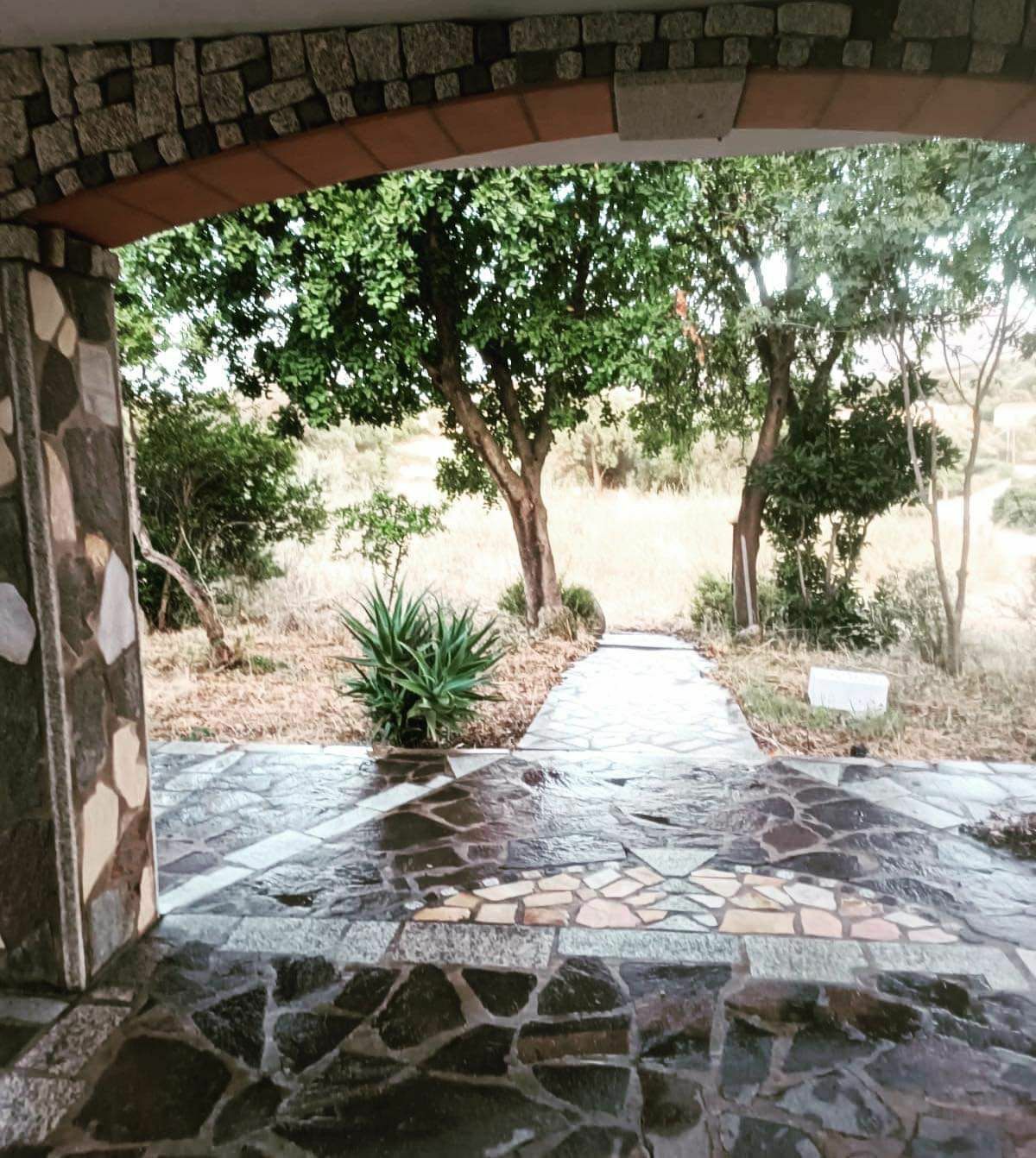 Itsenäinen Studio Olbia 260401