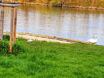 Colocation Ris-Orangis 366029-14