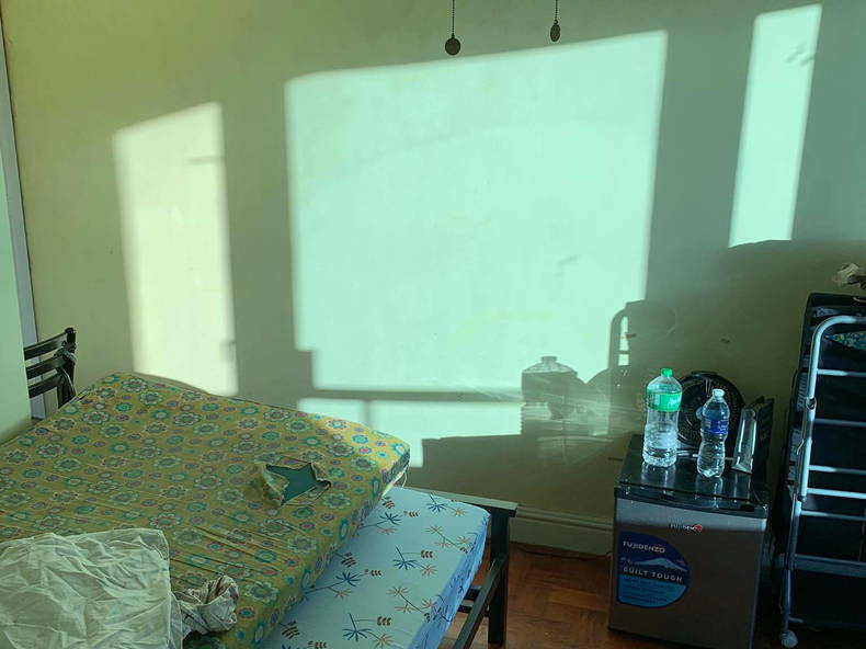 Kolokasie Makati 249943-2