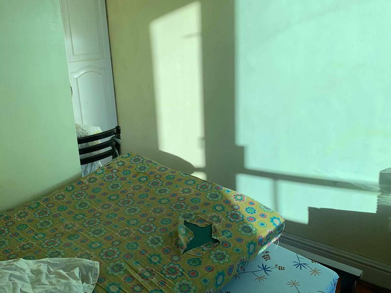 Kolokasie Makati 249943-3