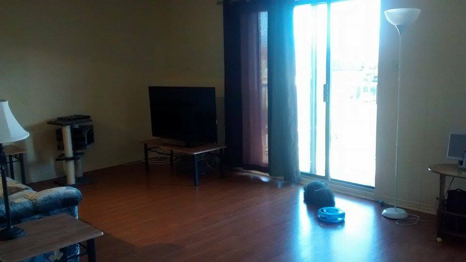 Colocation Gatineau 83623
