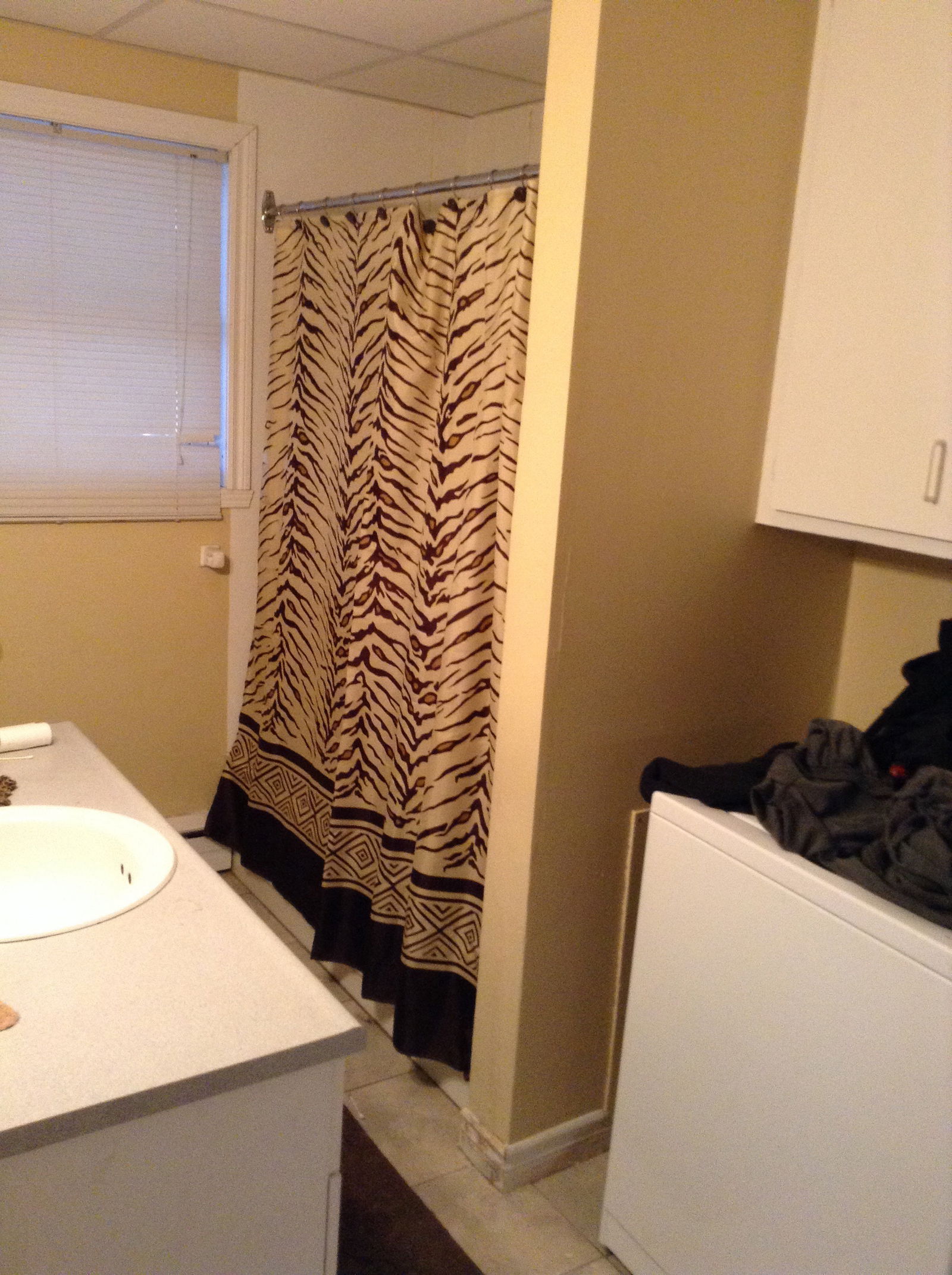 Colocation Sherbrooke 89682