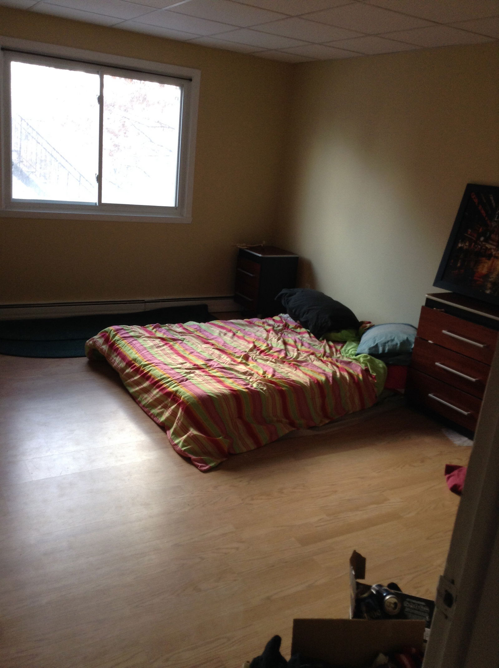 Colocation Sherbrooke 89682