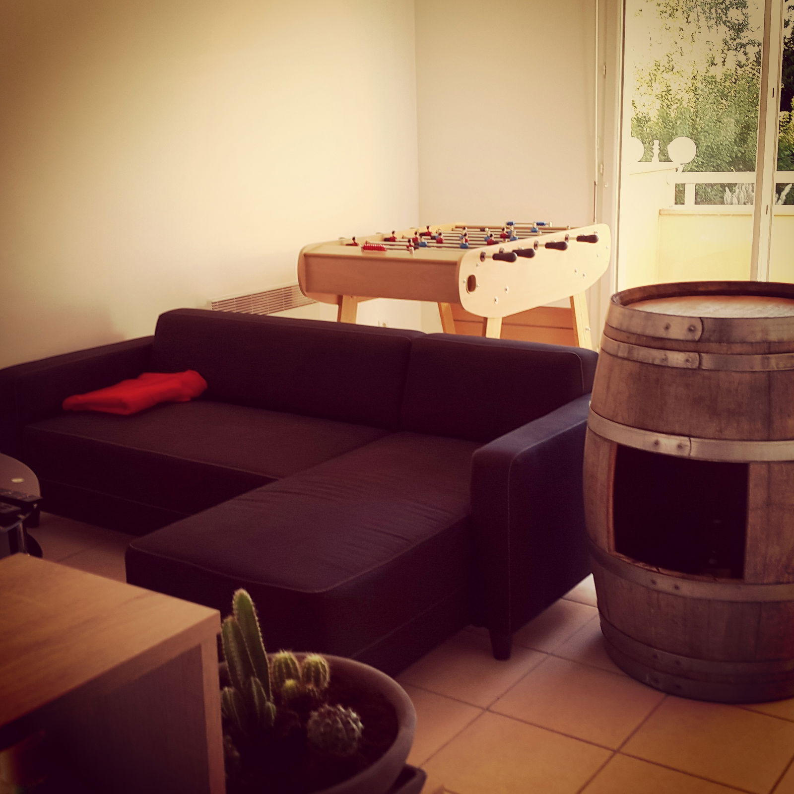 Colocation Sanguinet 116326