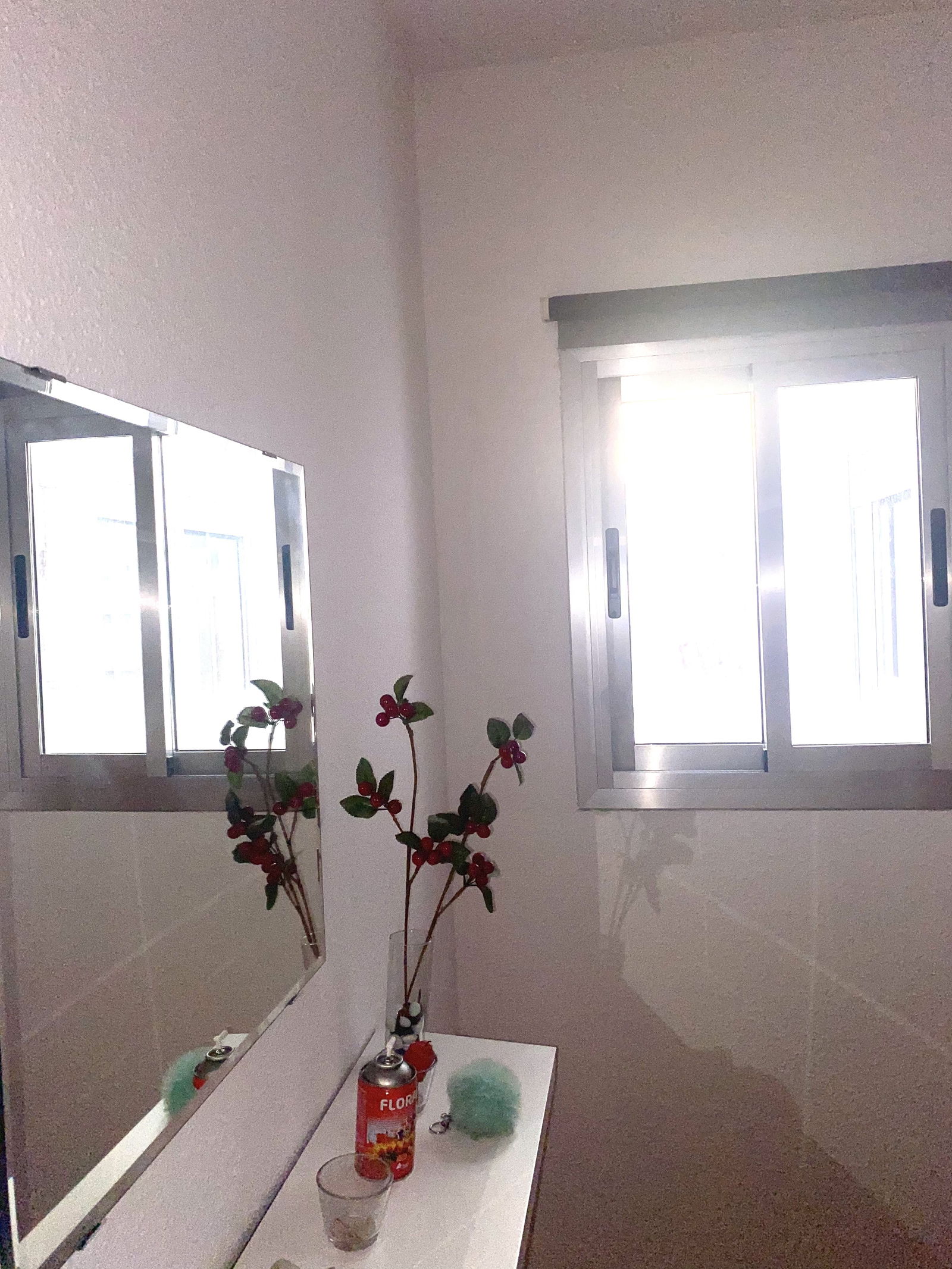 Colocation Montcada 249713