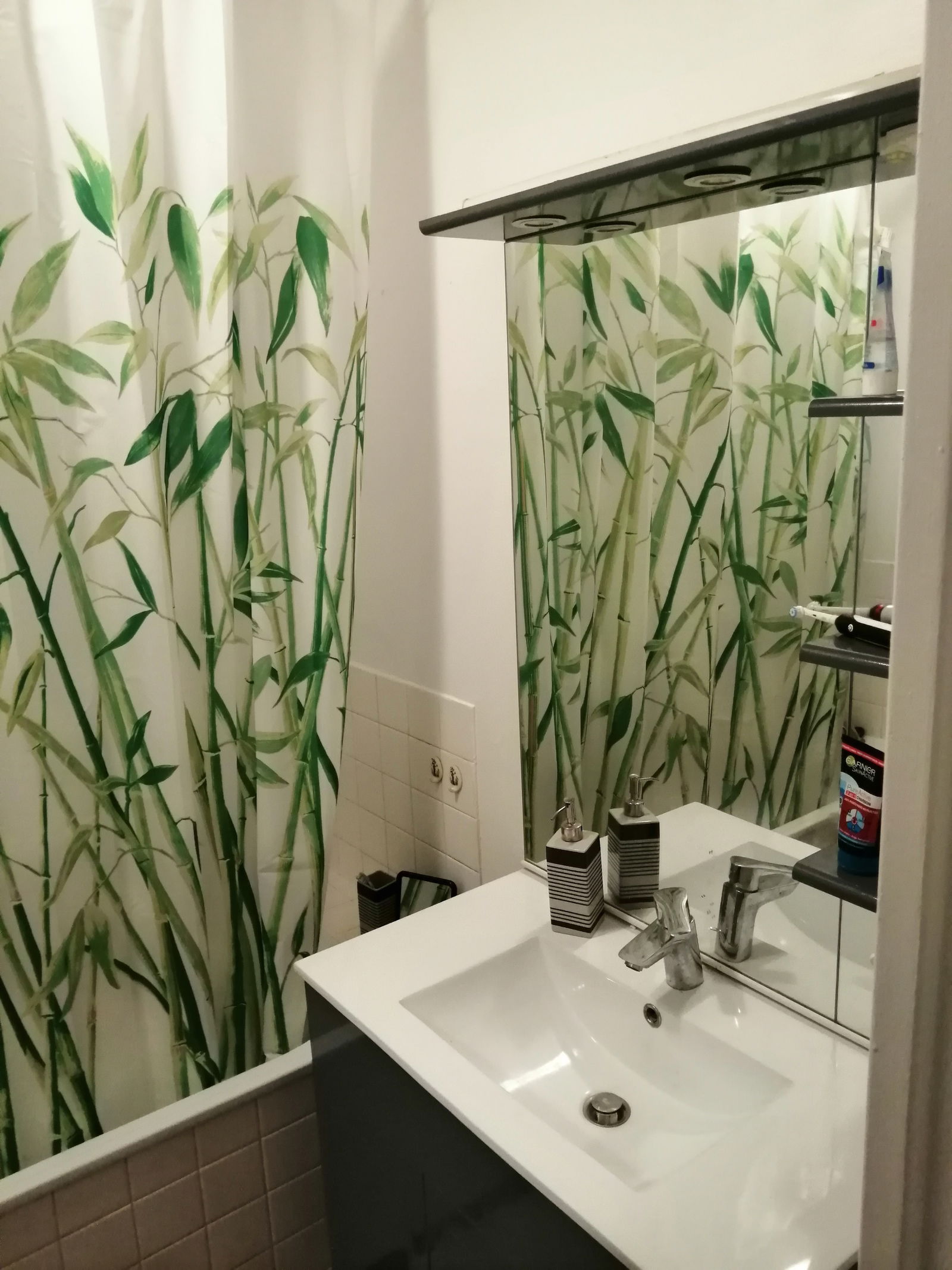 Homestay Bourgoin-Jallieu 254296