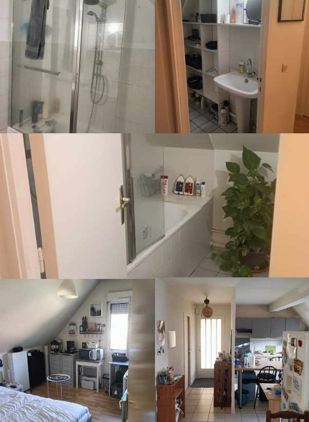 Colocation Ifs 654979